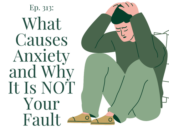 Ep 313 What Causes Anxiety and why it is NOT your fault Your Anxiety Toolkit